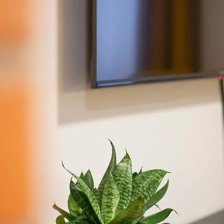 Karlovaidyll For Groups - 2 In The Same House Free Parking