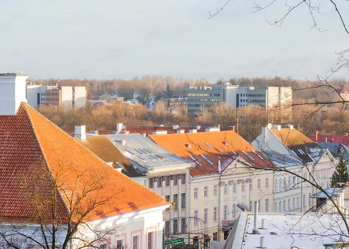 Karlovaidyll For Groups - 2 In The Same House Free Parking * Tartu